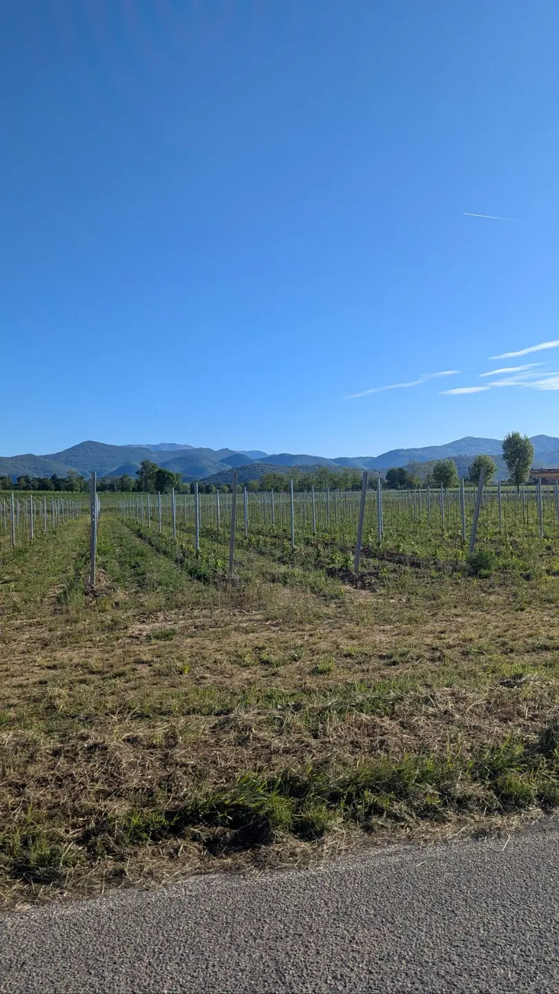 Jour 2, Arcugnano (Italie) : photo 5 sur 5